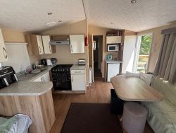 Willerby Rio Gold PS41