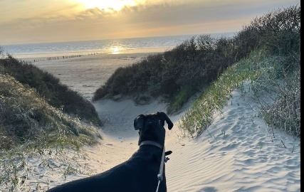 5 Peaceful Walks to Enjoy Near Brean 🌿