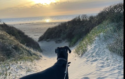 5 Peaceful Walks to Enjoy Near Brean 🌿
